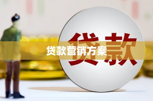 紫阳贷款营销方案