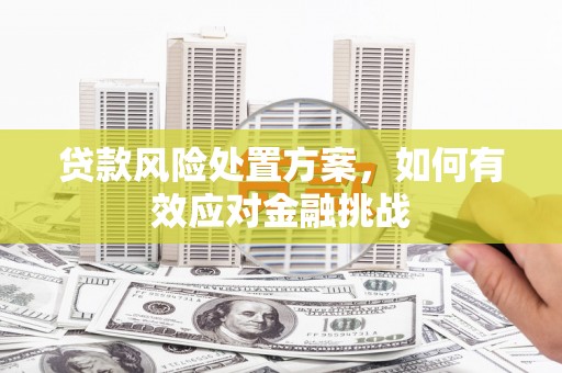 临翔贷款风险处置方案，如何有效应对金融挑战