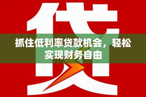 浑南抓住低利率贷款机会，轻松实现财务自由