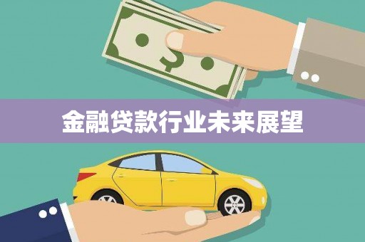合江金融贷款行业未来展望