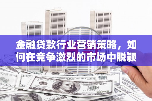 沣东金融贷款行业营销策略，如何在竞争激烈的市场中脱颖而出？