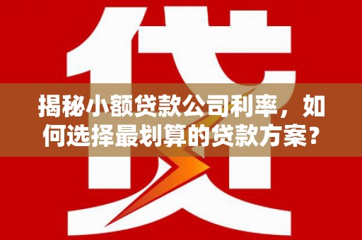 灵石揭秘小额贷款公司利率，如何选择最划算的贷款方案？