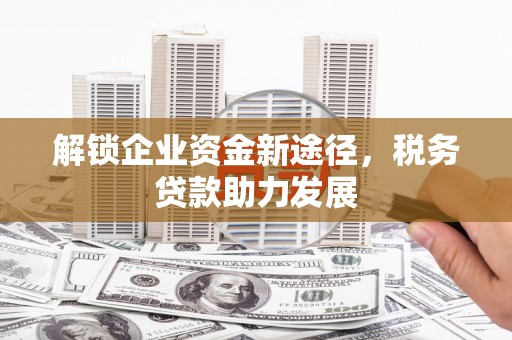 灵石解锁企业资金新途径，税务贷款助力发展