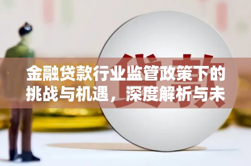 左贡金融贷款行业监管政策下的挑战与机遇，深度解析与未来展望
