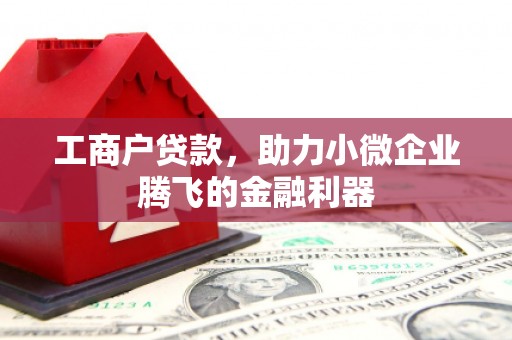 宣恩工商户贷款，助力小微企业腾飞的金融利器