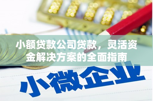 左贡小额贷款公司贷款，灵活资金解决方案的全面指南