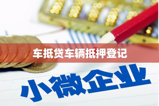 灵川车抵贷车辆抵押登记