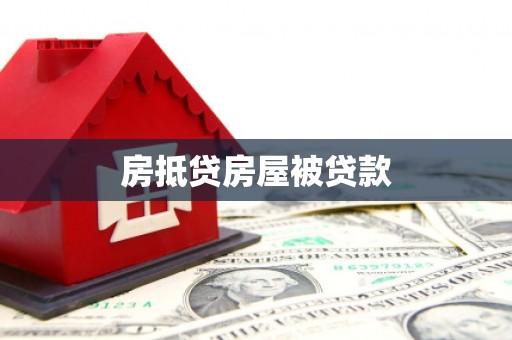 滨海房抵贷房屋被贷款