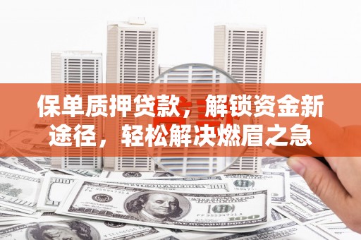 连云港保单质押贷款，解锁资金新途径，轻松解决燃眉之急