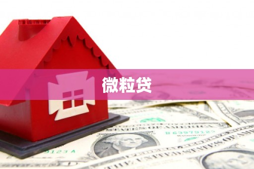 来宾微粒贷