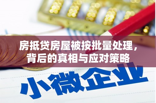 温州房抵贷房屋被按批量处理，背后的真相与应对策略