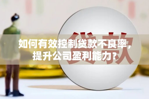 嘉峪关如何有效控制贷款不良率，提升公司盈利能力？