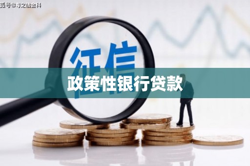 龙井政策性银行贷款