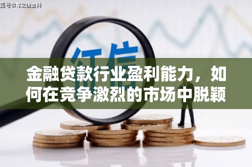 梁河金融贷款行业盈利能力，如何在竞争激烈的市场中脱颖而出？