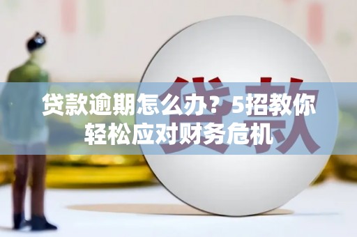 宝山贷款逾期怎么办？5招教你轻松应对财务危机