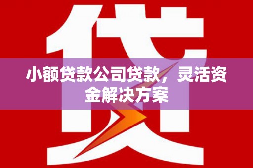 潮阳小额贷款公司贷款，灵活资金解决方案