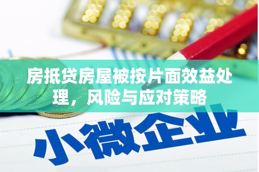 高安房抵贷房屋被按片面效益处理，风险与应对策略