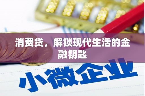 托克逊消费贷，解锁现代生活的金融钥匙