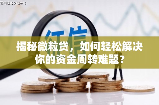 麻章揭秘微粒贷，如何轻松解决你的资金周转难题？