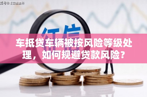 乌什车抵贷车辆被按风险等级处理，如何规避贷款风险？