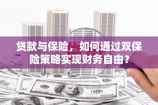阜城贷款与保险，如何通过双保险策略实现财务自由？