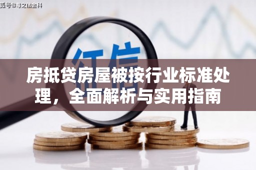 中正房抵贷房屋被按行业标准处理，全面解析与实用指南