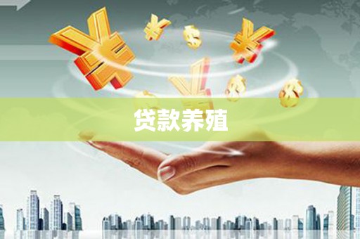头份贷款养殖