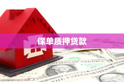 头份保单质押贷款