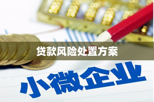 克拉玛依贷款风险处置方案
