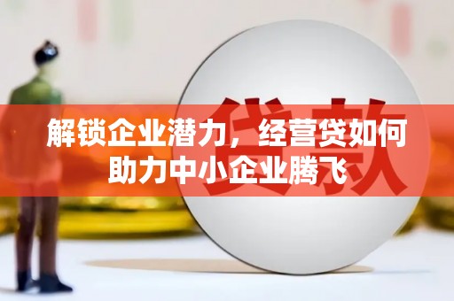 南木林解锁企业潜力，经营贷如何助力中小企业腾飞