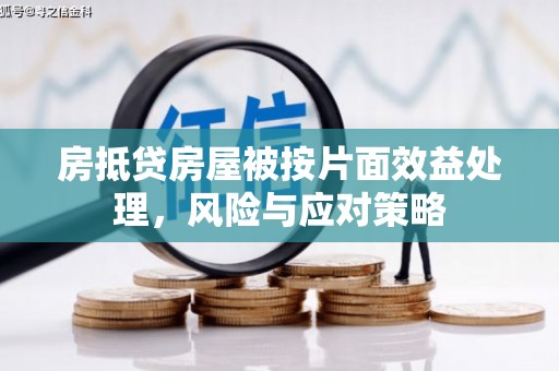 南木林房抵贷房屋被按片面效益处理，风险与应对策略