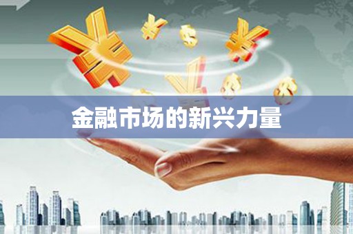 贺兰金融市场的新兴力量