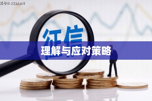 贺兰理解与应对策略