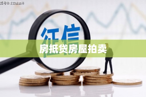 定南房抵贷房屋拍卖