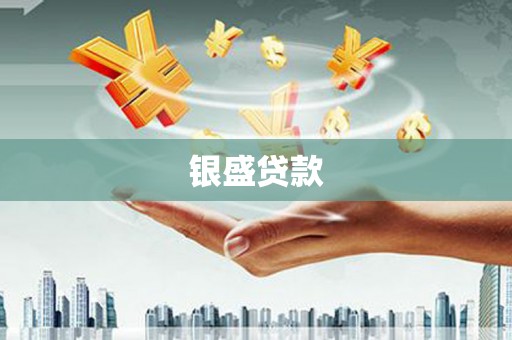 定南银盛贷款