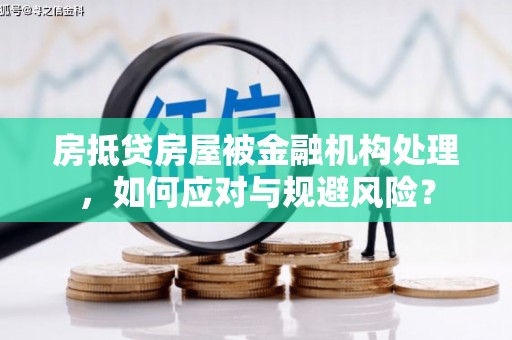 定南房抵贷房屋被金融机构处理，如何应对与规避风险？