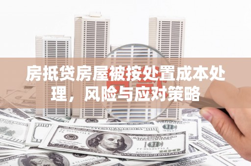 萨尔图房抵贷房屋被按处置成本处理，风险与应对策略