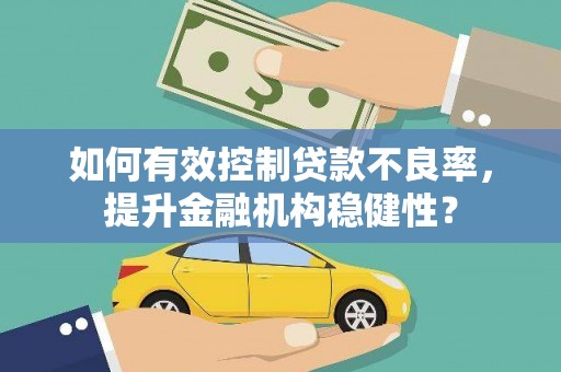 萨尔图如何有效控制贷款不良率，提升金融机构稳健性？