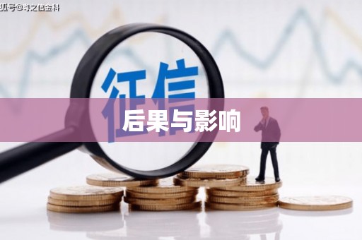 两当后果与影响