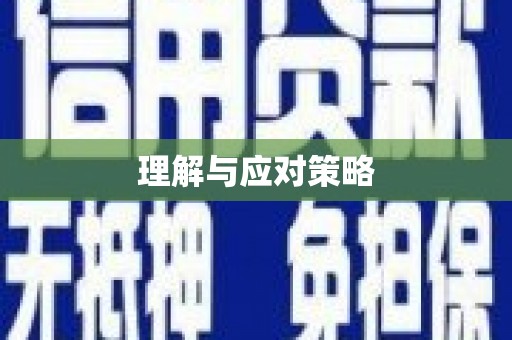 鲁甸理解与应对策略
