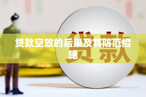 鲁甸贷款空放的后果及其防范措施