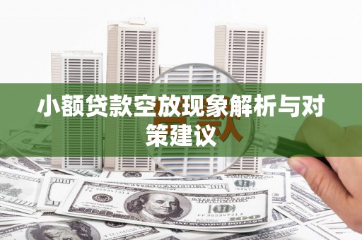 鲁甸小额贷款空放现象解析与对策建议
