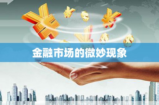 鲁甸金融市场的微妙现象
