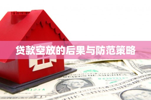 金湖贷款空放的后果与防范策略
