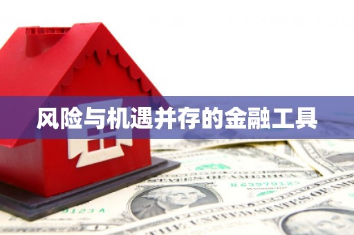 伍家岗风险与机遇并存的金融工具