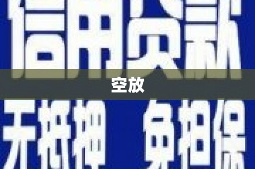 和布克赛尔空放