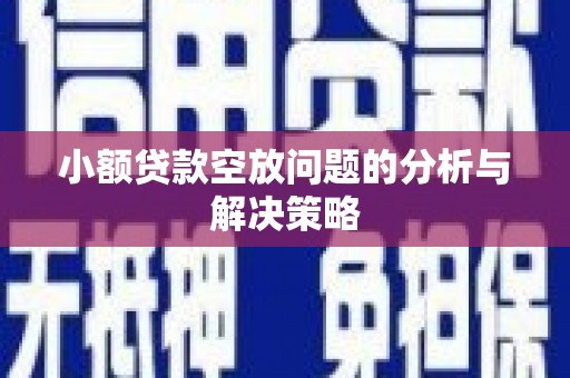 类乌齐小额贷款空放问题的分析与解决策略