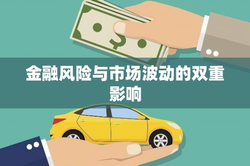 和布克赛尔金融风险与市场波动的双重影响