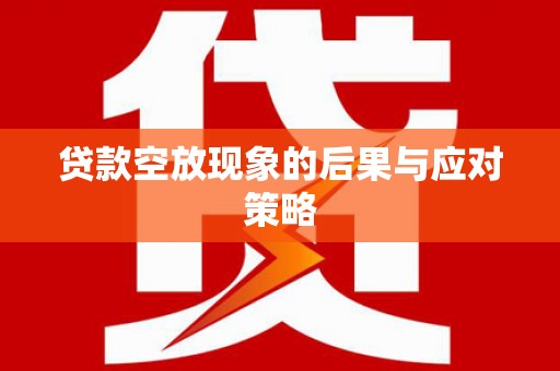 和布克赛尔贷款空放现象的后果与应对策略
