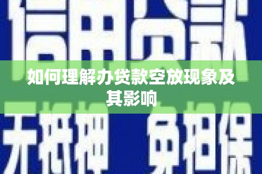 中西如何理解办贷款空放现象及其影响
